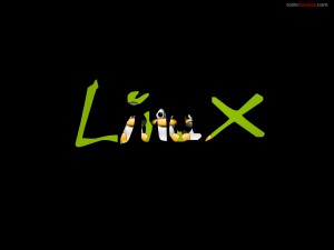 Postal: Tux dentro de Linux