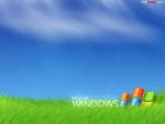 Microsoft Windows sobre hierba