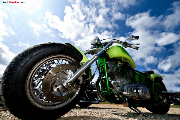 Harley Davidson en perspectiva