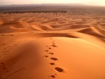 Desierto del Sáhara (Marruecos)
