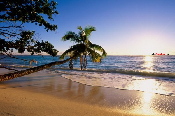 Playa de la Isla de Silhouette (Seychelles)