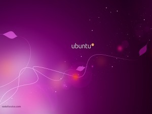 Postal: Ubuntu
