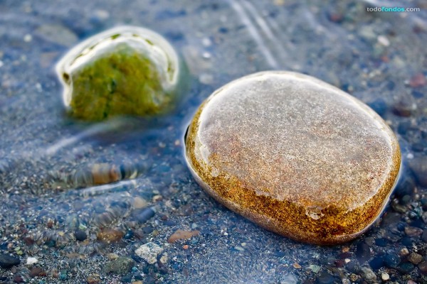 Piedras en el río