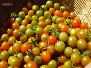 Cesta de tomates verdes