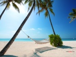 Playa paradisíaca en las Islas Maldivas