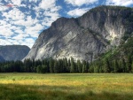 Praderas en Yosemite Valley (California)