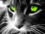 Gato de ojos verdes