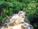 Caídas de agua en el río Karamea (Nueva Zelanda)