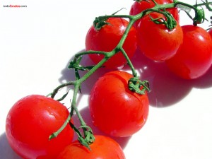 Postal: Tomates en rama