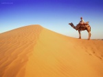 Cruzando el desierto en camello