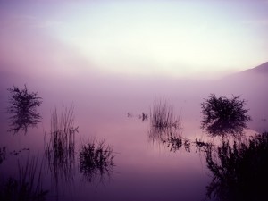 Niebla en el lago