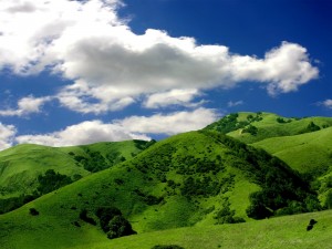 Verdes colinas