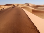Huellas en la arena del desierto