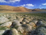 Matas de permafrost (Ladakh, India)