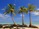 Pequeña isla con palmeras en Madagascar