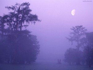 Pescando en la niebla