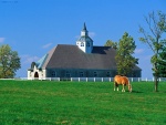 Finca de caballos (Lexington, Kentucky)