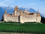 Castillo de Aigle (Suiza)