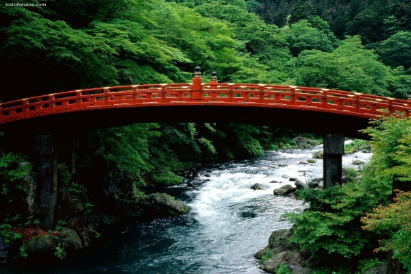 El Sagrado Puente del río Daiya Nikko (Japón)