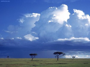 Postal: Tormenta sobre la sabana, Reserva Nacional Masai Mara, Kenia