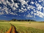 Reserva Natural de NamibRand (Namibia)