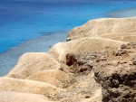Playa rocosa