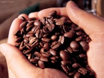 Un puñado de granos de café