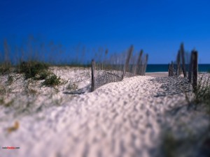 Postal: Camino de arena a la playa
