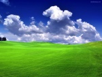 Nubes sobre una verde pradera