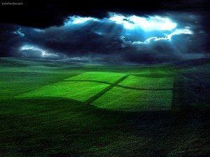 Logo de Windows sobre la hierba
