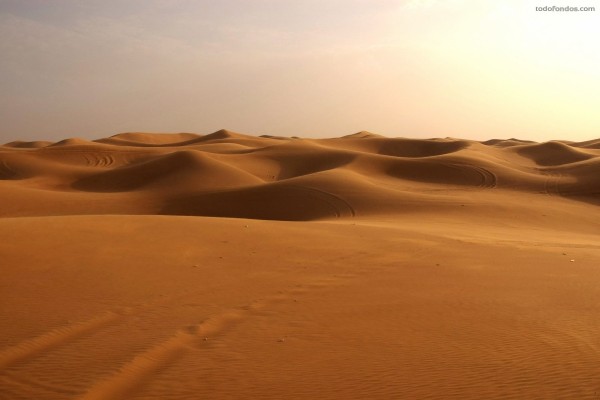 Un mar de dunas