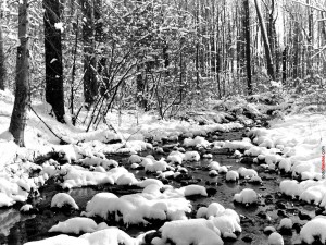 Río nevado