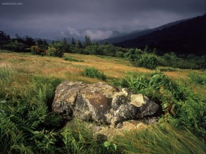 Una piedra enorme en medio del campo