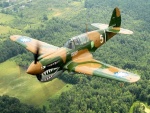 Avión de combate de la Segunda Guerra Mundial