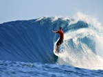 Surfeando la ola