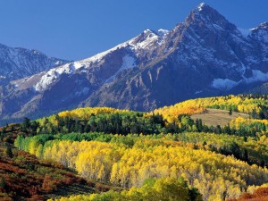 Postal: Árboles de colores al pie de las montañas