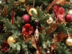Adornos de un árbol de Navidad