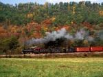 Tren a vapor rodeando un bosque