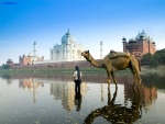 El río Yamuna a su paso por el Taj Mahal en Agra (India)