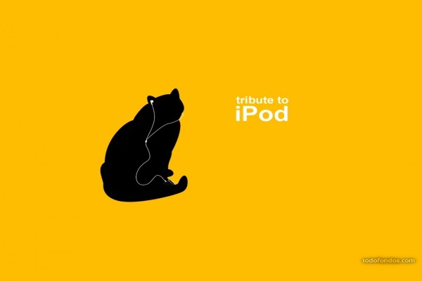 Gato con iPod