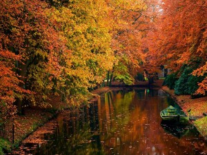 Árboles en otoño junto al canal