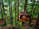 Una habitación en el bosque (Whistler, Canadá)
