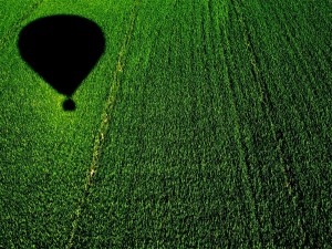 Postal: Volando en globo sobre un maizal