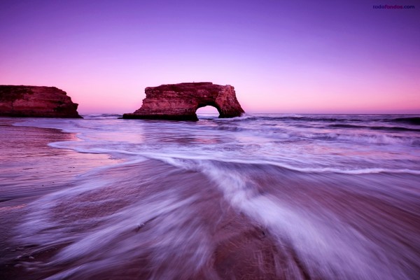 Natural Bridges State Beach (Santa Cruz, California)