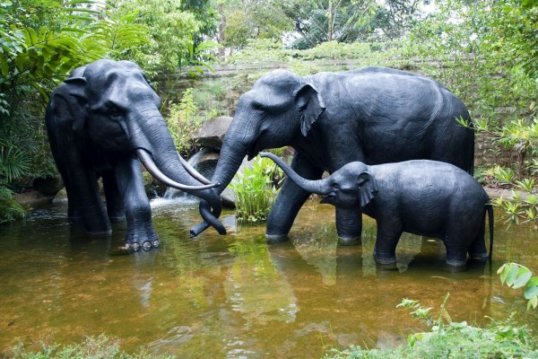 Familia de elefantes disfrutando del agua