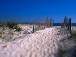 Camino de arena blanca a la playa