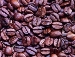 Semillas de café tostado