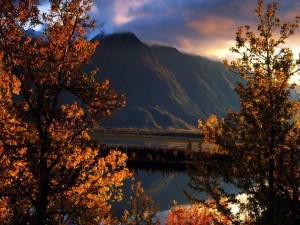 Postal: Pioneer Peak (Alaska)