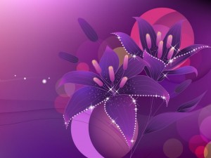 Postal: Flores brillantes color púrpura