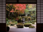 Vistas al jardín desde una clásica casa japonesa